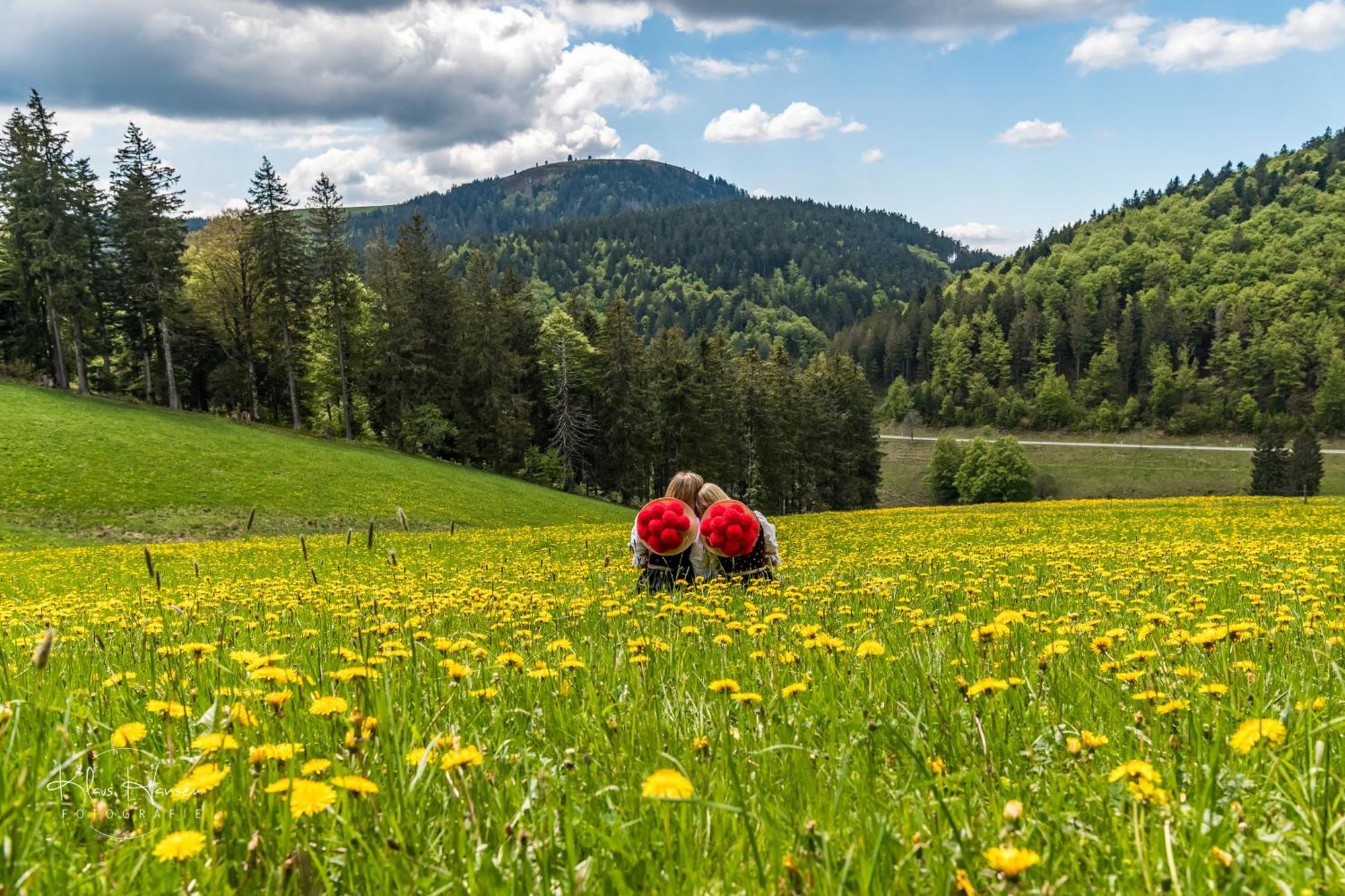 Ferienwohnung Sommerberg, Lenzkirch, 2 Schlafzimmer エクステリア 写真